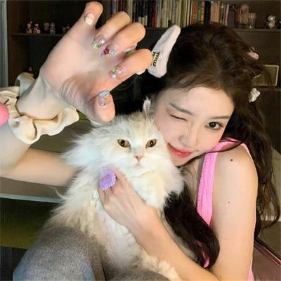 天堂岛疑云第五季